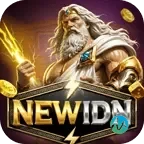 Logo newidn